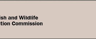 Boat safe, boat sober: FWC officers to promote awareness and heightened enforcement for boating under the influence during Operation Dry Water: Boat Safe, Boat Sober Boat safe, boat sober