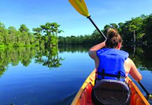 Pre-Fall Fun This Month On The Forgotten Coast Pre-Fall Fun This Month On The Forgotten Coast