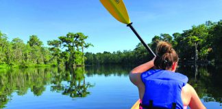 Area Waterways Are A Favorite for Paddle Enthusiasts: Pre-Fall Fun This Month On The Forgotten Coast Pre-Fall Fun This Month On The Forgotten Coast