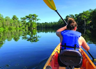 Area Waterways Are A Favorite for Paddle Enthusiasts: Pre-Fall Fun This Month On The Forgotten Coast Pre-Fall Fun This Month On The Forgotten Coast