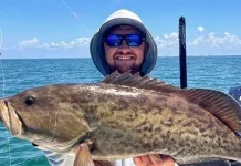 2025 Recreational Gag Grouper Season Gag Land Grouper