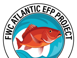 FWC’s Atlantic Red Snapper Exempted Fishing Florida Red Snapper