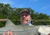 Florida East Coast Snook Harvest Florida Snook