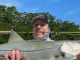 Florida East Coast Snook Harvest Florida Snook